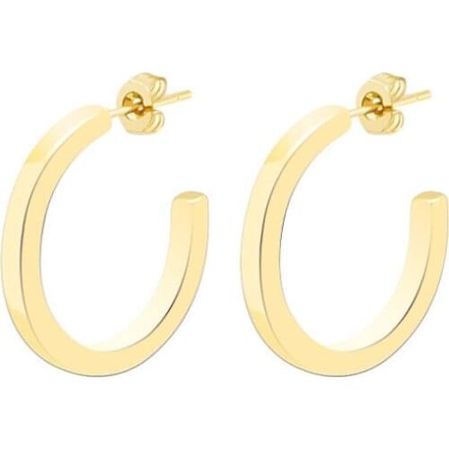 Earrings 2021 Trend Internet Elebrity Recommend Fashionable C-shaped Gold Color Titanium Steel Hoop Earrings For Women Wholesale