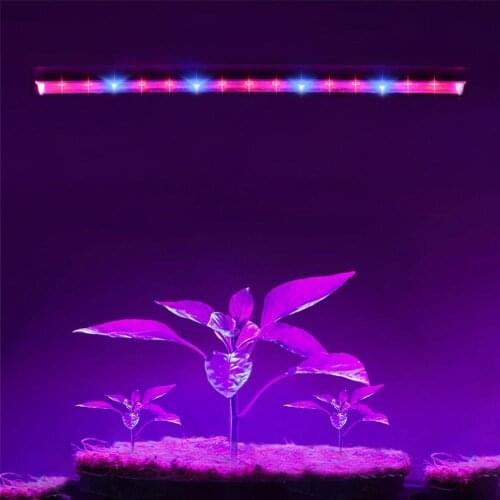 CHNAITEKE Phytolamps For Plants