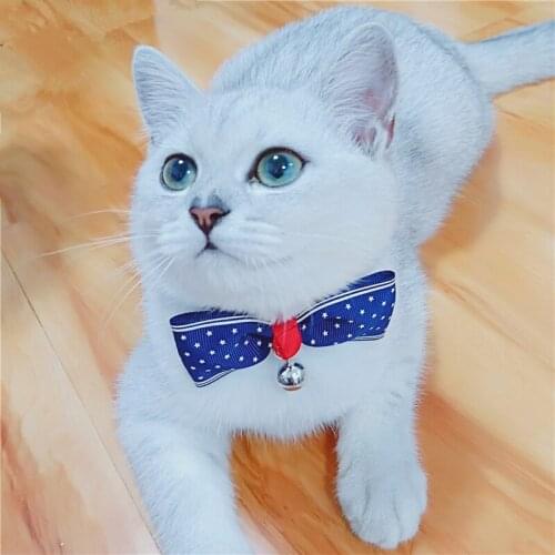 Cute pet dog bow tie teddy cat bow tie bow tie English style gentleman cat bell bow tie