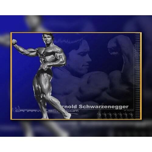 A53 Silk Poster Home Decoration Arnold Schwarzenegger Bodybuilding Strong Muscle Wall Art Christmas Gift