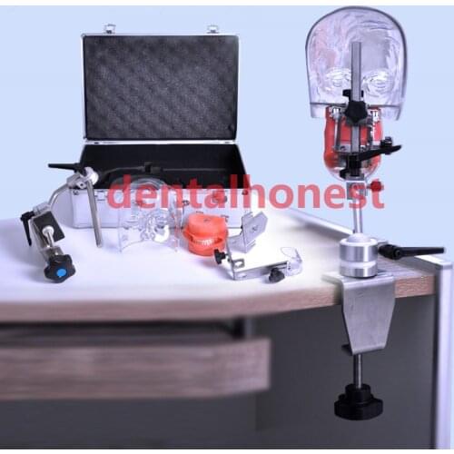 2019 high quality New Dental Phantom Head with Typodont/Dental Phantom Head with Replacement Teeth M1005