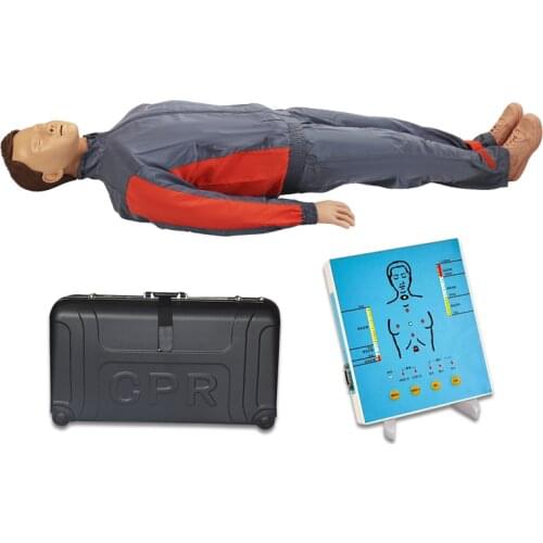 CPR training human body model, nursing training human body model medical model human body, Emergency Human body model