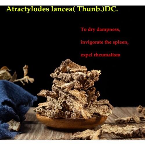 Atractylodes,Bai Zhu, Rhizoma Atractylodis Macrocephalae, Largehead Atractylodes Rhizome