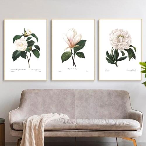 Pink White Plants Flower Posters and Prints Redoute Botanical Wall Art Canvas Painting Pictures Living Room Bedroom Decoration