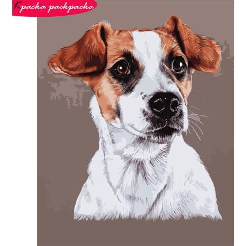 DIY Jack Russell Terrier Painting By Numbers No Frame Colour By Numbers 19.7x15.7in 27 Colors DIY Gift Diff:5 Stars VA-0008