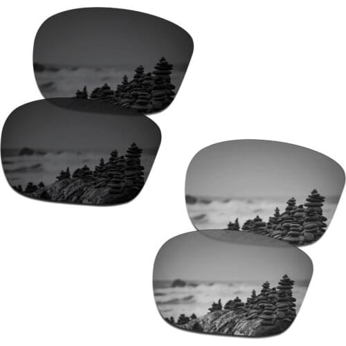 SmartVLT 2 Pairs Polarized Sunglasses Replacement Lenses for Oakley Sliver Stealth Black and Silver Titanium