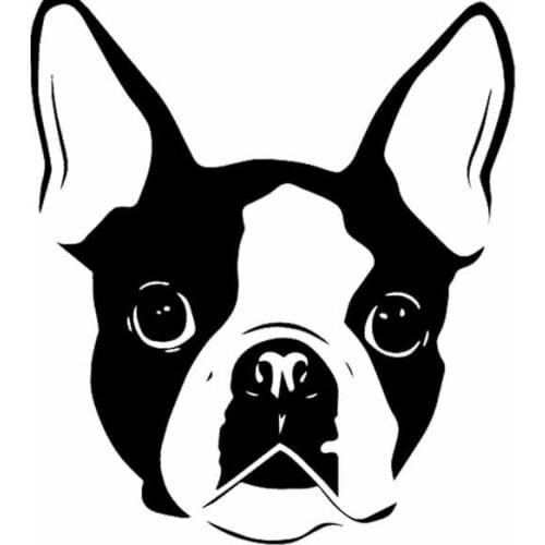 Boston Terrier Dog Face Decals High Quality Car Window Decoration Personality Pvc Waterproof Decals Black/white, 16cm*14cm