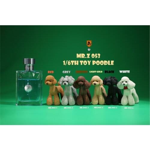 Mr.Z Studio 1:6 Cute Toy Poodle Dog Pet Figure Canidae Animal Model Toys Collector Gift Simulation Teddy Desk Decoration Mini