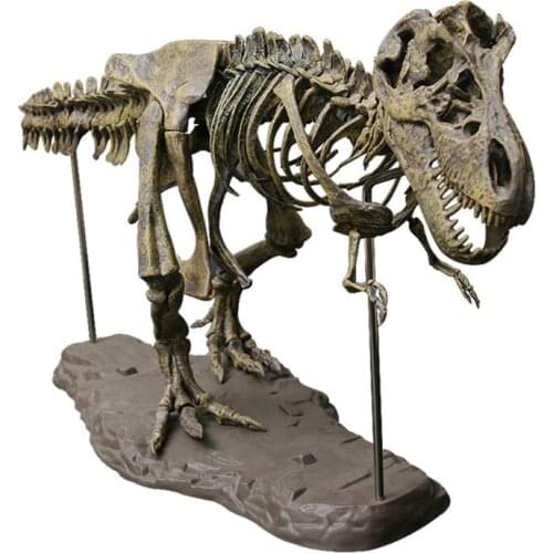 Tyrannosaurus Rex Skeleton Dinosaur Toy Animal Model Collector Super Decoration for Boys
