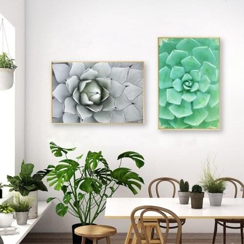 Agave Leaves Print Large Century Plant in Landscaped Flower Bed Poster Succulent Botanical Wall Art Canvas Painting Home Decor