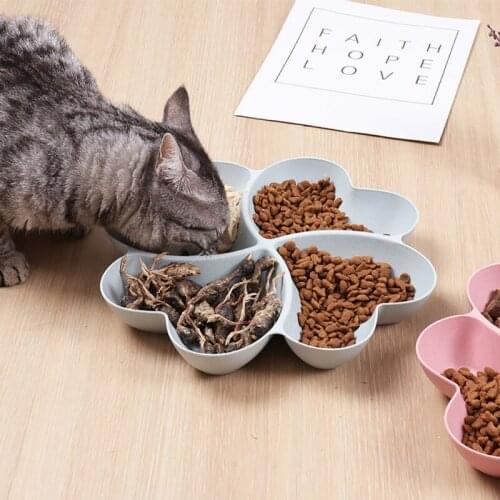4 In 1 Pet Bowls Food Feeder Small Dog Water Bottle Choke Dog Bowl Puppy Cat Slow Down Eating Feeder Pet Supplies