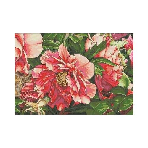 Dim35298 coral peony counted cross stitch package flower aida 22ct 25ct 18ct 14ct 11ct black cloth people kit embroidery