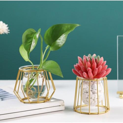 Metal Frame Test Tube Mini Terrarium Hydroponic Vase Plant Container Multifunction Iron Glass Storage Tool For Flower Home Decor