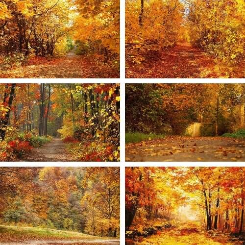 Mehofond Photography Background Autumn Scenery Deciduous Tree Yellow Fall Leaves Baby Child Portrait Backdrop Photo Studio Props