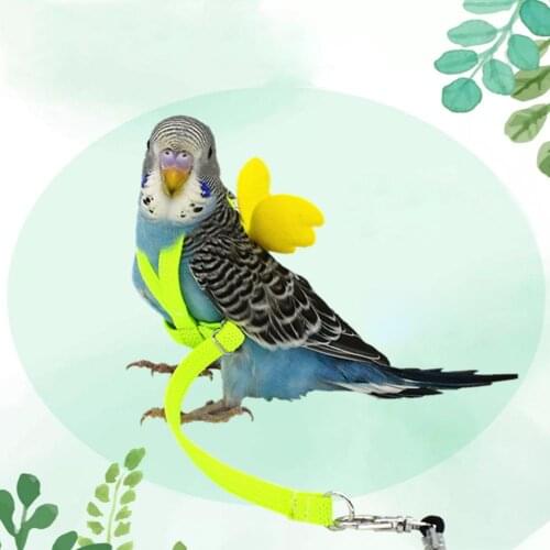 Pet Bird Harness Parrot Leash Flying Rope Straps Outdoor Training Traction Rope For Budgerigar Lovebird Cockatiel Small Birds