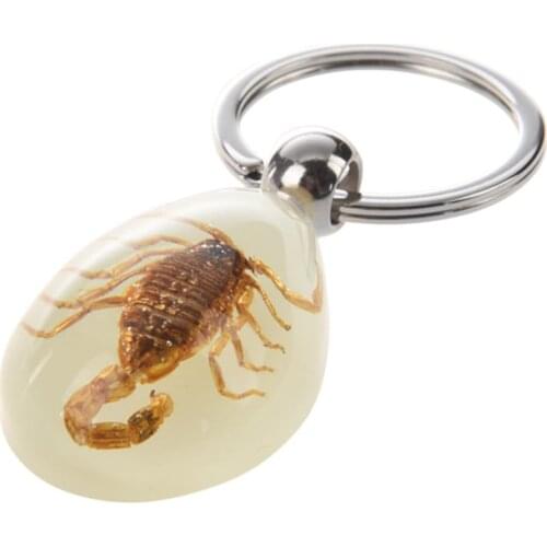 Hyperbole Scorpion Animal Key Chains Water Drop Shaped Scorpion Pendant Split Flat Keychain Key Ring llaveros Jewelry