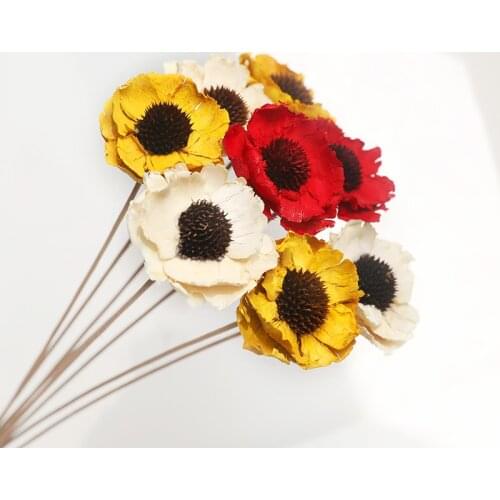 Dried Flower Natural Home Decor Living Room Decoration Bouquet DIY Floral Arrangement Flower Branch Party Country Decor