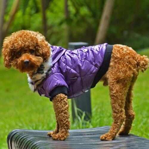 Winter Dog Warm Clothes Pets Thicken Coat Dog Puppy Pet Hoodie Jacket For Small Medium Dogs Yorkie French Bulldog Clothing