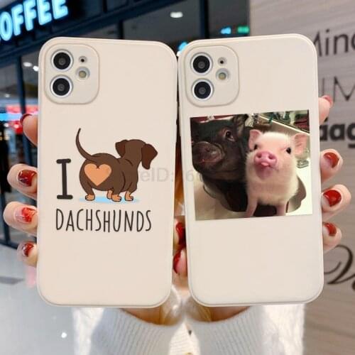Case For Iphone 12 Liquid Silicone Funda For Iphone 11 Pro Max X XS XR 12 MiNi 7 8 Plus SE 2020 6 6S Cover Cute Animal Coque