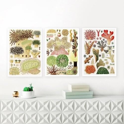 Barrier Reef Colorful Coral Seaweed Poster Marine Life Illustration Wall Art Canvas Painting and Prints Living Room Home Decor