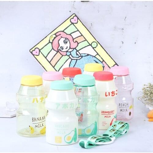 480ml Fruit Water Bottle BPA Free Portable Leak Proof Travel Drinking Water Cup