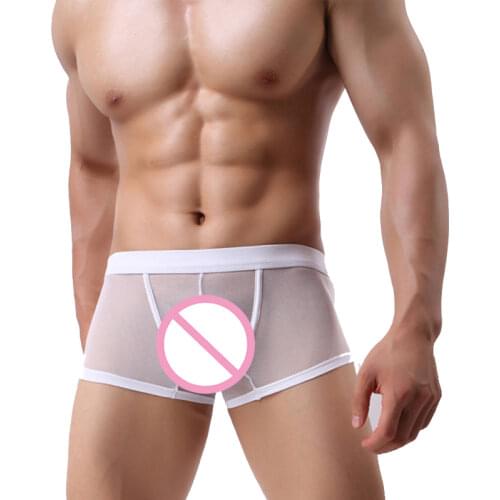 Sexy Mesh Hollow Boxer Shorts Underwear Mens Breathable Sexy Underpants Transparent Men Boxers Cueca Masculina Male Panties