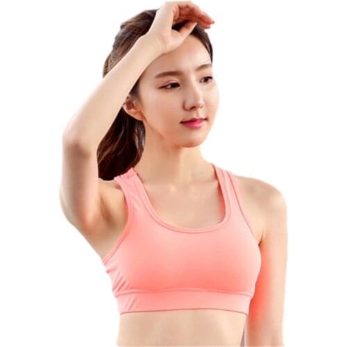 Absorb Sweatshirt Yoga Quick Dry Breathable Running Solid Pink Corset Sports Bra Ladies Seamless Corset