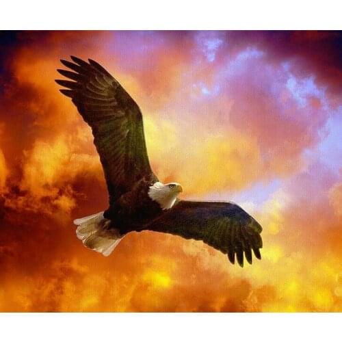 Jmine Div 5D America Eagle Full Diamond Painting cross stitch kits art High Quality Animal 3D paint by diamonds