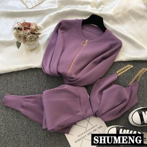 2020 Autumn New Womens Knit Set Casual Zip Cardigan Sweater Knitted Vest Pants 3 Piece Set Female Purple Sweater Set Tracksuits