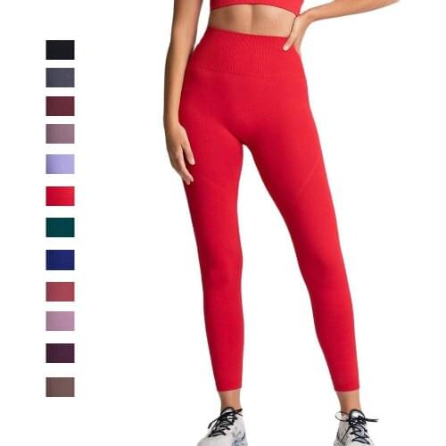 Red Seamless Yoga Pants High Waist Stretchy Yoga Leggings Black Woman Pants Blue Workout Leggings Green Gym Sport Tights Purple