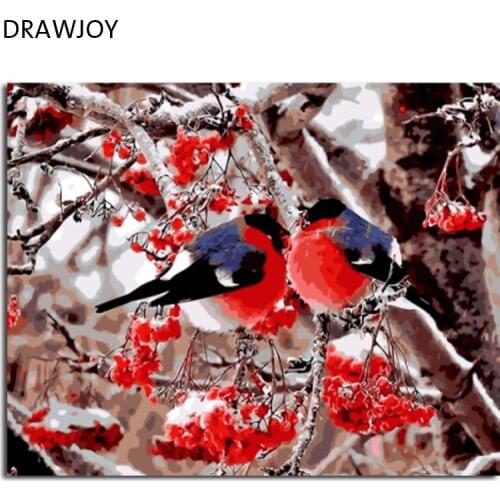 DRAWJOY Morden Framed Pictures Bird And Flower DIY Painting By Numbers Home Decor For Living Room Canvas Oil Painting GX8859