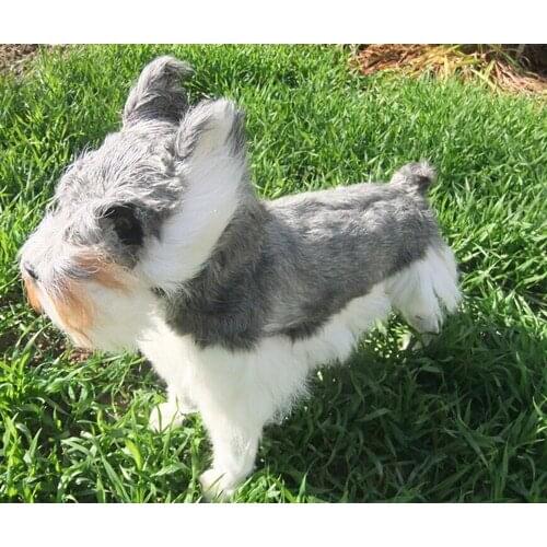 Simulation cute Schnauzer 48x42cm model polyethylene&furs dog model home decoration props ,model gift d449