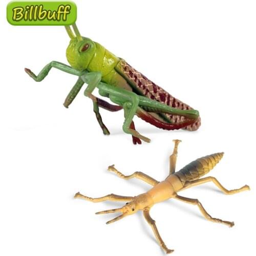 Simulation Reptile PVC Locust Stick Insect Model Action Figures Collection Miniature Cognition Educational Toy for Children Gift