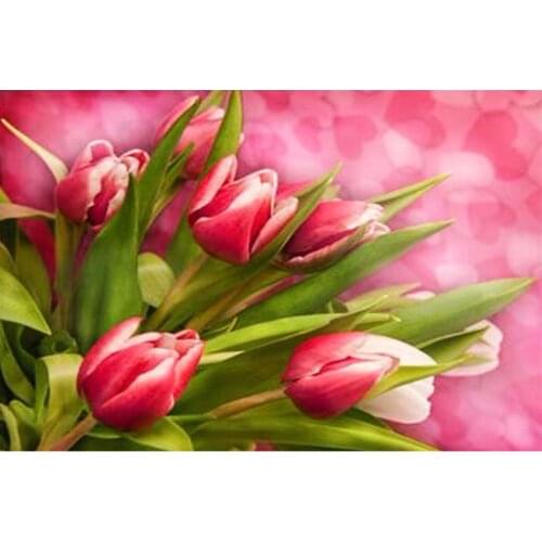 5D DIY square/round Diamond Painting Tulip flower Cross Stitch Diamond Embroidery floral Pattern Rhinestone home decor WG968