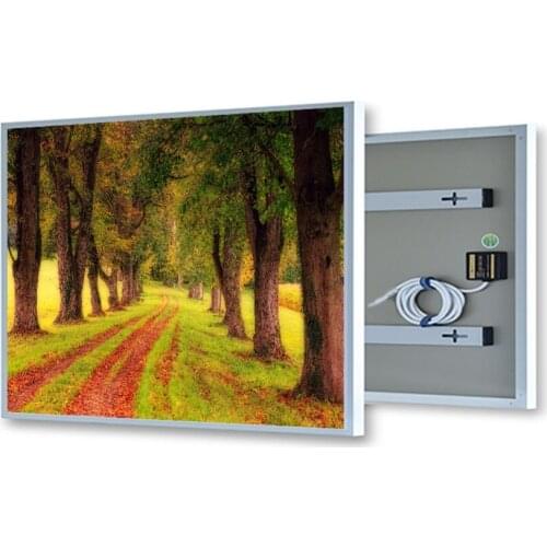 40% off on sale IC-600x1000mm 600W image wall mounted picture heater heating