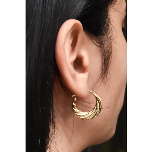 Womens Gold Plated Licuala Pattern 925 Sterling Silver Earrings Elegant Design Pleasing Appearance Quality Product 2021 Trend Fashion Jewelry Accessory model