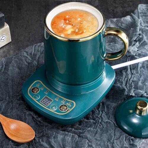 360W Electric Stew Cup Health Pot Ceramic Slow Cooker Cup Heater Boiling Cup Mug Warmer with Appointment Insulation 220V