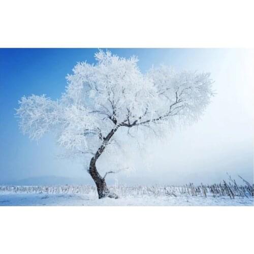 Modern Custom 3D Wallpaper Blue sky, tree, haze, TV background, wall, mural Photo Wallpaper High Quality 3D Stereoscopic