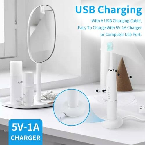 Electric Dental Scaler Set 5-Speed Adjustment To Remove Tartar And Waterproof IPX7 800 mAh Mini Oral Care And Whitening Devices