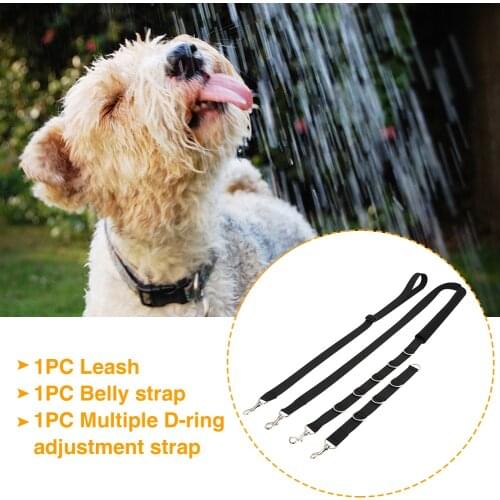 Belt D-rings Puppy Cat Accessories Hair Cutting Pet Bathing Washing Dog Grooming Belly Strap Adjustable Traction Lead