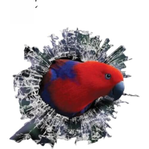 Dawasaru 3D Red Eclectus Roratus Window Sticker Glass Slag Decal Reflective Stickers Waterproof Bird Decals 13cm X 12cm