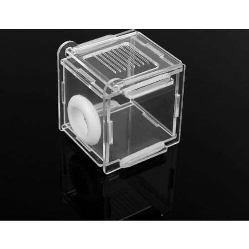 Ant Nest Glass Tube Mini Ant Nest with Active Zone Insect House Acrylic Ant Farm