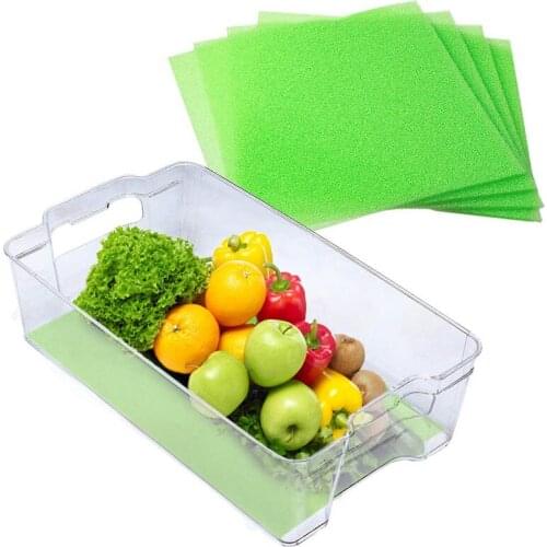 Newly Filter Sponge for Refrigerator Drawers Mildew Proof Fruit Veggie Life Extender Liner