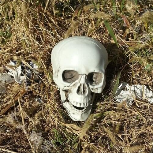 1PC Multi Size Scary Plastic Skull Head Prop Decor Skeleton Halloween Simulation Home Party Haunted House Decor