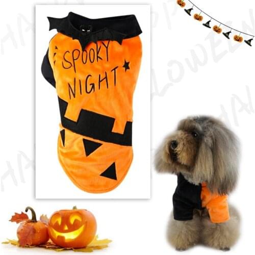 Pet Halloween Funny Bat Cosplay Coat Autumn Winter 2-legged Dog Clothes For Cold Weather Dog Accessories