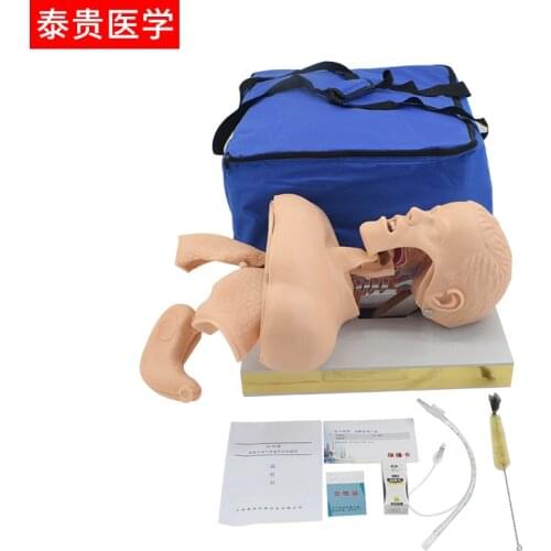 Endotracheal Intubation Trainer, Airway Intubation Training Model, Tracheal Intubation Manikin