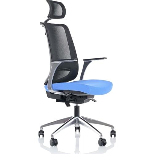 Space Office Gold Mesh Executive Chair-Blue