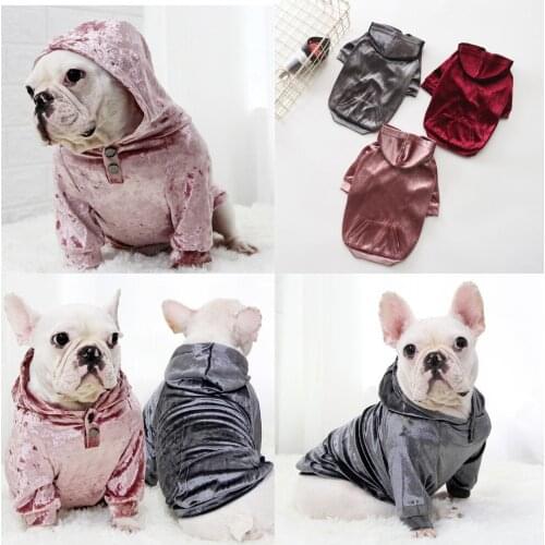Pet Dog Clothes Hoodie Spring Autumn Summer Dog Clothing Cat Chihuahua Yorkshire Pomeranian Schnauzer Pug French Bulldog Costume