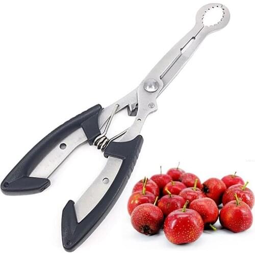 Red Jujube Hawthorn Pliers New Nuclear Device Fruit Corer Stainless Steel Multi-Purpose Kitchen Fruit Corer Kitchen Tool