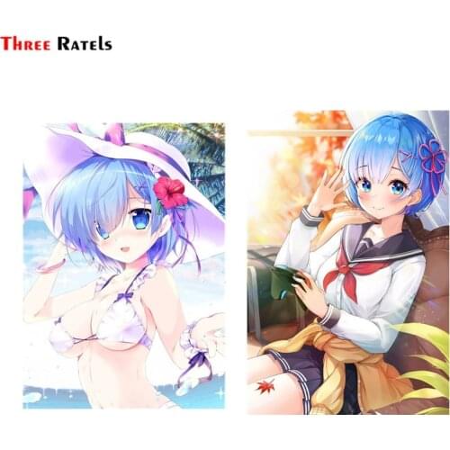 Three Ratels FC667 Poster Anime Girls Car Windshield Stickers Skateboard Decal